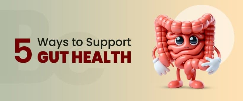 Your Digestive System: 5 Ways to Support Gut Health